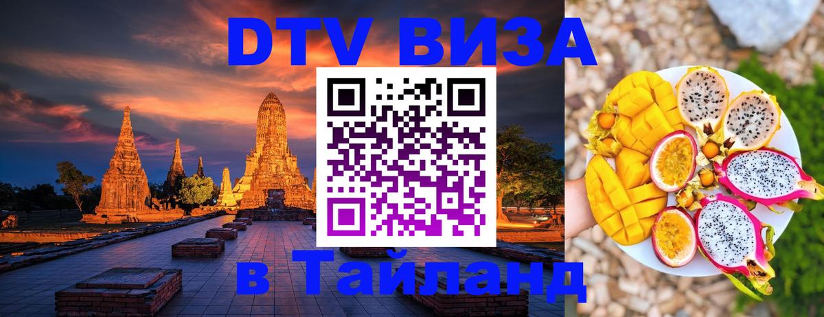 Сколько стоит DTV виза — актуальные цены, оформление даже без документов - 20.11.2025 